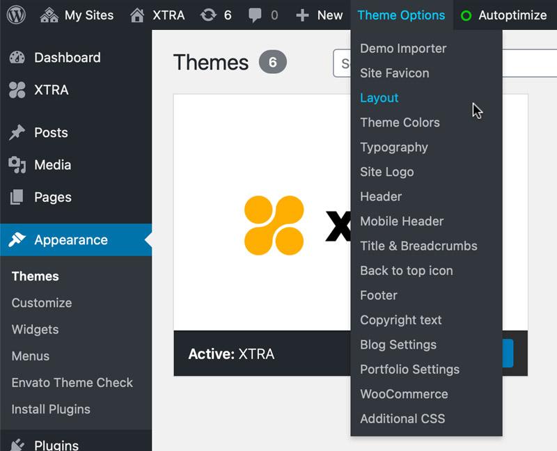 Exploring Theme Options for Enhanced Functionality