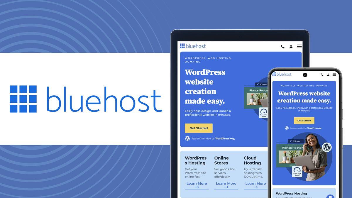 Final Recommendations: Choosing the Perfect Bluehost Plan for You