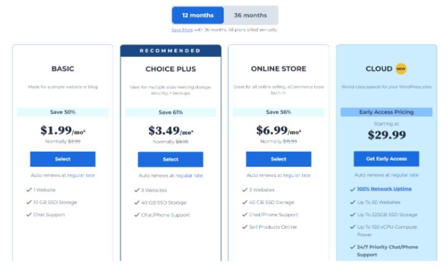 Bluehost Pricing Explained: Here’s Which Option to Pick in 2024