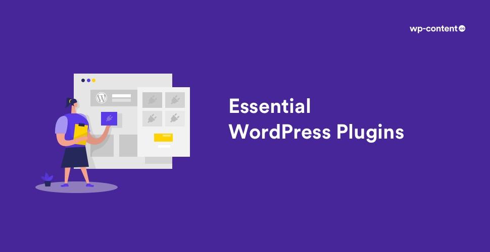 Essential Plugins for Enhancing Your Online Store