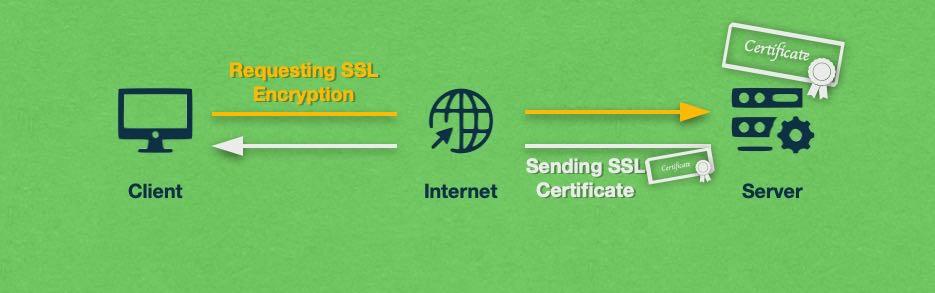 Understanding the Importance of SSL for Your Website