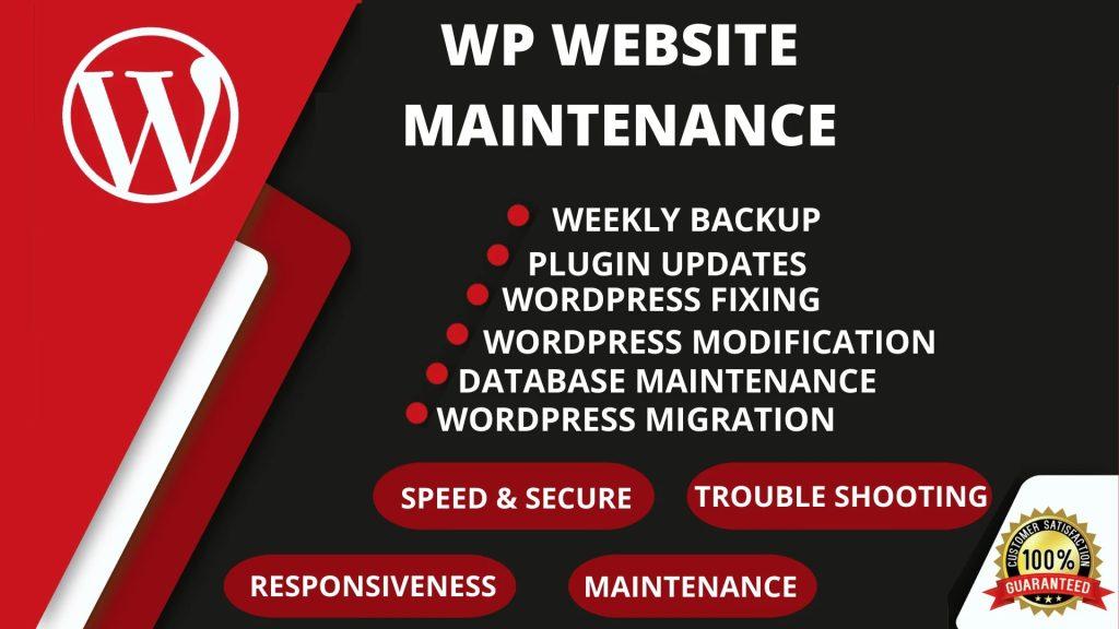 Frequently Asked Questions About WordPress Website Maintenance