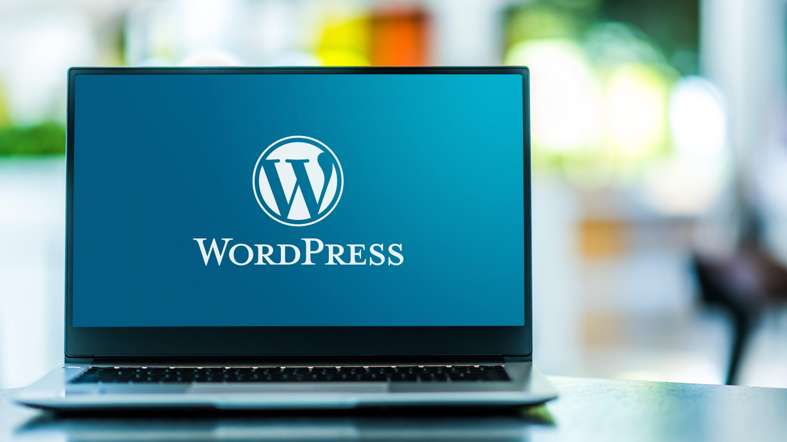 Which WordPress Plugins Are Slowing Down Your Site?